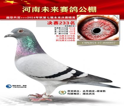 河南未来决赛233名