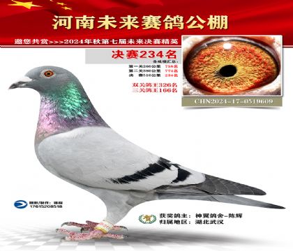 河南未来决赛234名