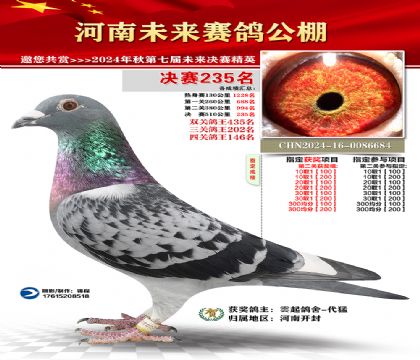 河南未来决赛235名