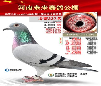 河南未来决赛237名
