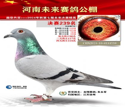 河南未来决赛239名