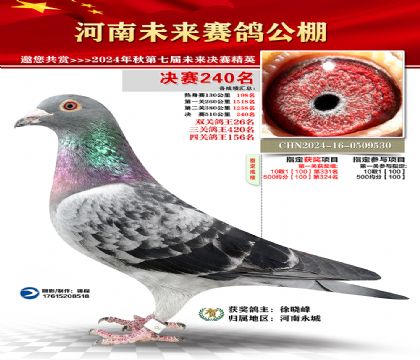 河南未来决赛240名