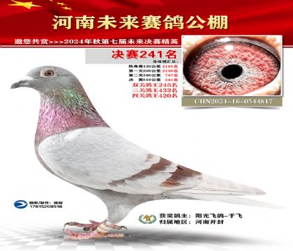 河南未来决赛241名