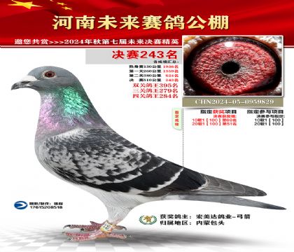 河南未来决赛243名