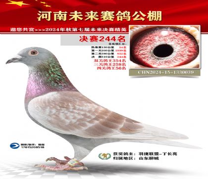 河南未来决赛244名