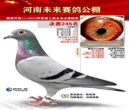 河南未来决赛245名