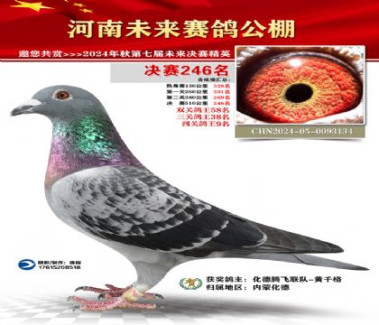 河南未来决赛246名