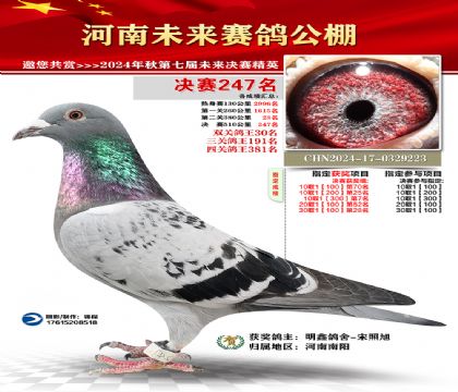 河南未来决赛247名
