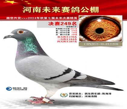 河南未来决赛249名