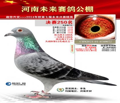 河南未来决赛250名
