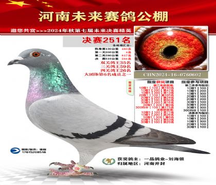 河南未来决赛251名