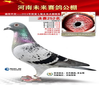 河南未来决赛252名