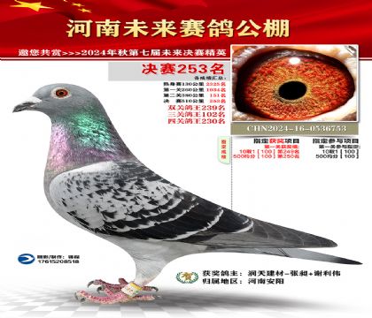 河南未来决赛253名