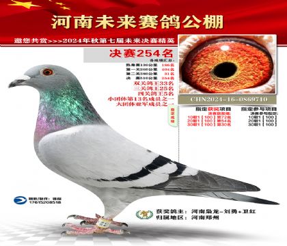 河南未来决赛254名