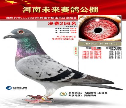 河南未来决赛256名