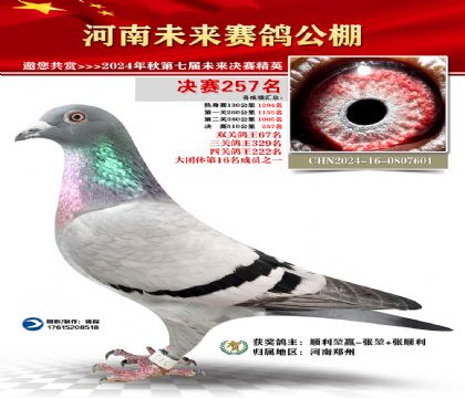 河南未来决赛257名