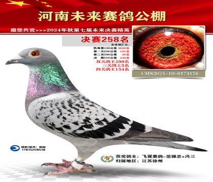 河南未来决赛258名
