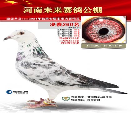 河南未来决赛260名