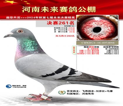 河南未来决赛261名