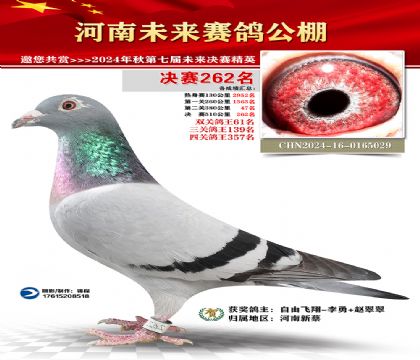 河南未来决赛262名