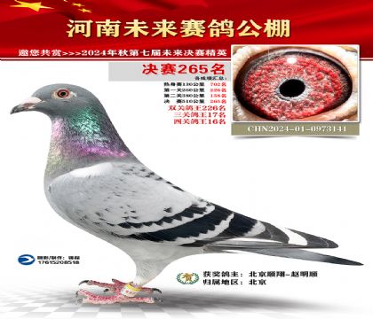 河南未来决赛265名