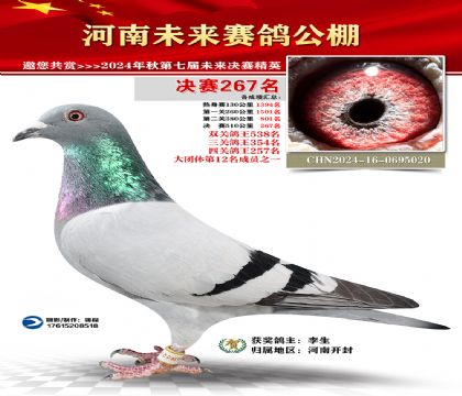 河南未来决赛267名