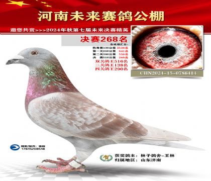 河南未来决赛268名