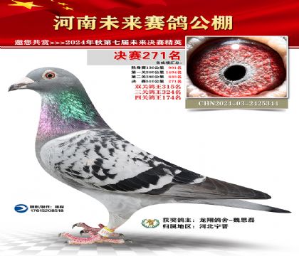 河南未来决赛271名