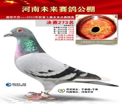 河南未来决赛273名