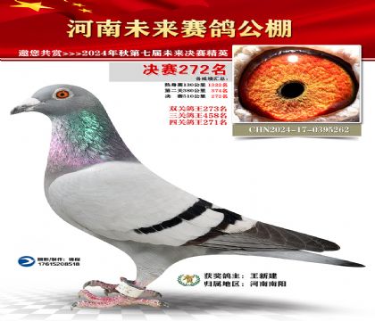河南未来决赛272名