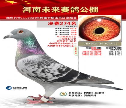 河南未来决赛274名