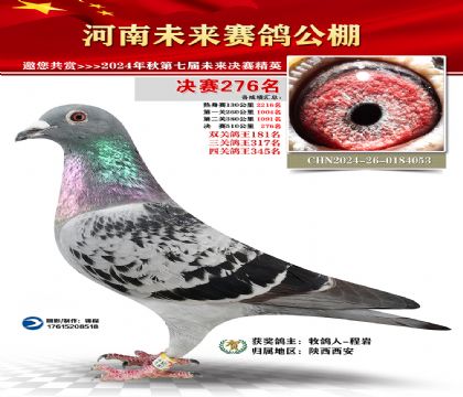 河南未来决赛276名