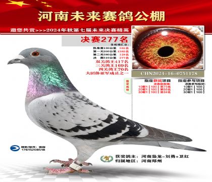 河南未来决赛277名