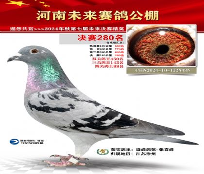 河南未来决赛280名