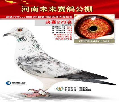 河南未来决赛279名