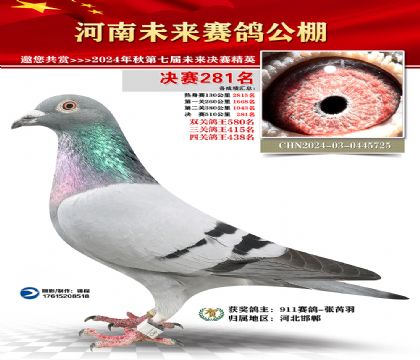 河南未来决赛281名