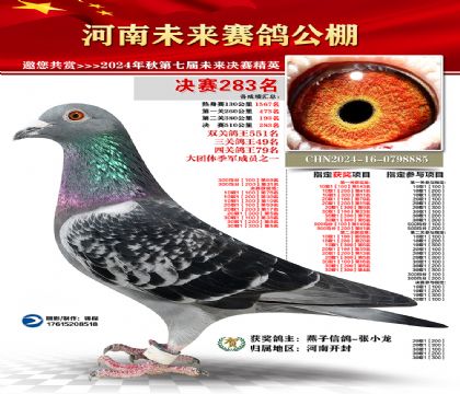 河南未来决赛283名