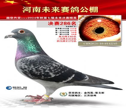 河南未来决赛286名