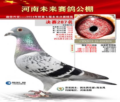 河南未来决赛287名