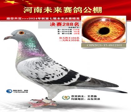河南未来决赛288名