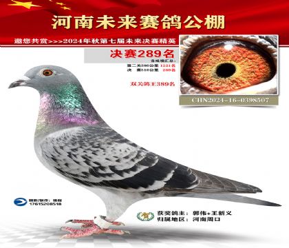 河南未来决赛289名
