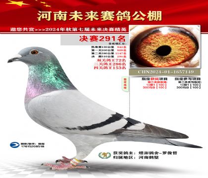 河南未来决赛291名