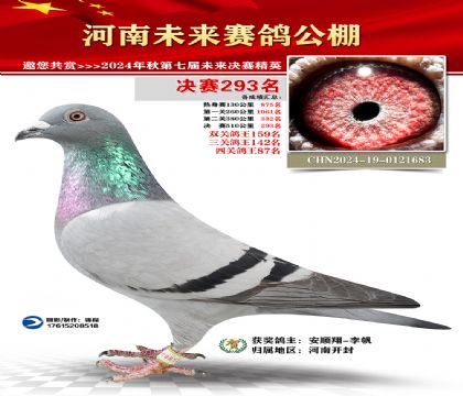 河南未来决赛293名
