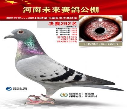 河南未来决赛292名