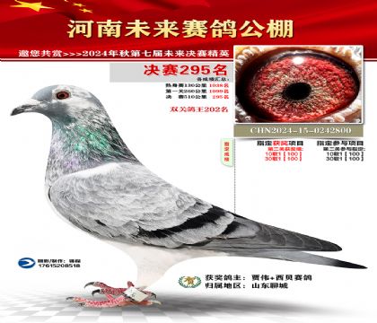 河南未来决赛295名