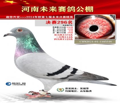 河南未来决赛296名