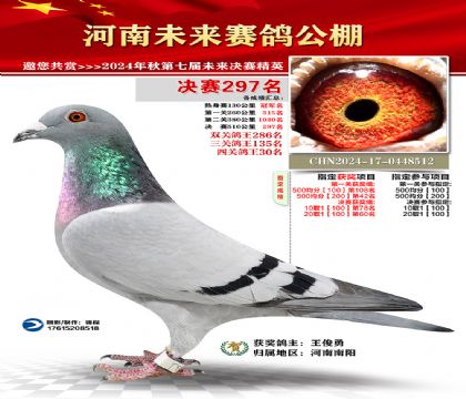 河南未来决赛297名