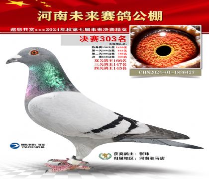 河南未来决赛303名