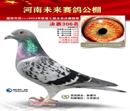 河南未来决赛306名