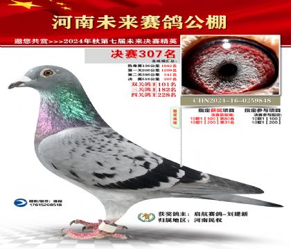 河南未来决赛307名
